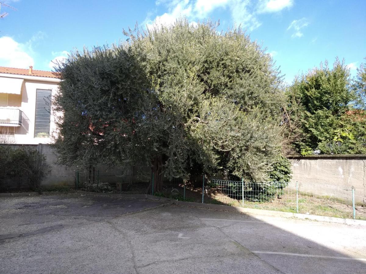 Appartamenti Olivo Vigevano Exterior photo